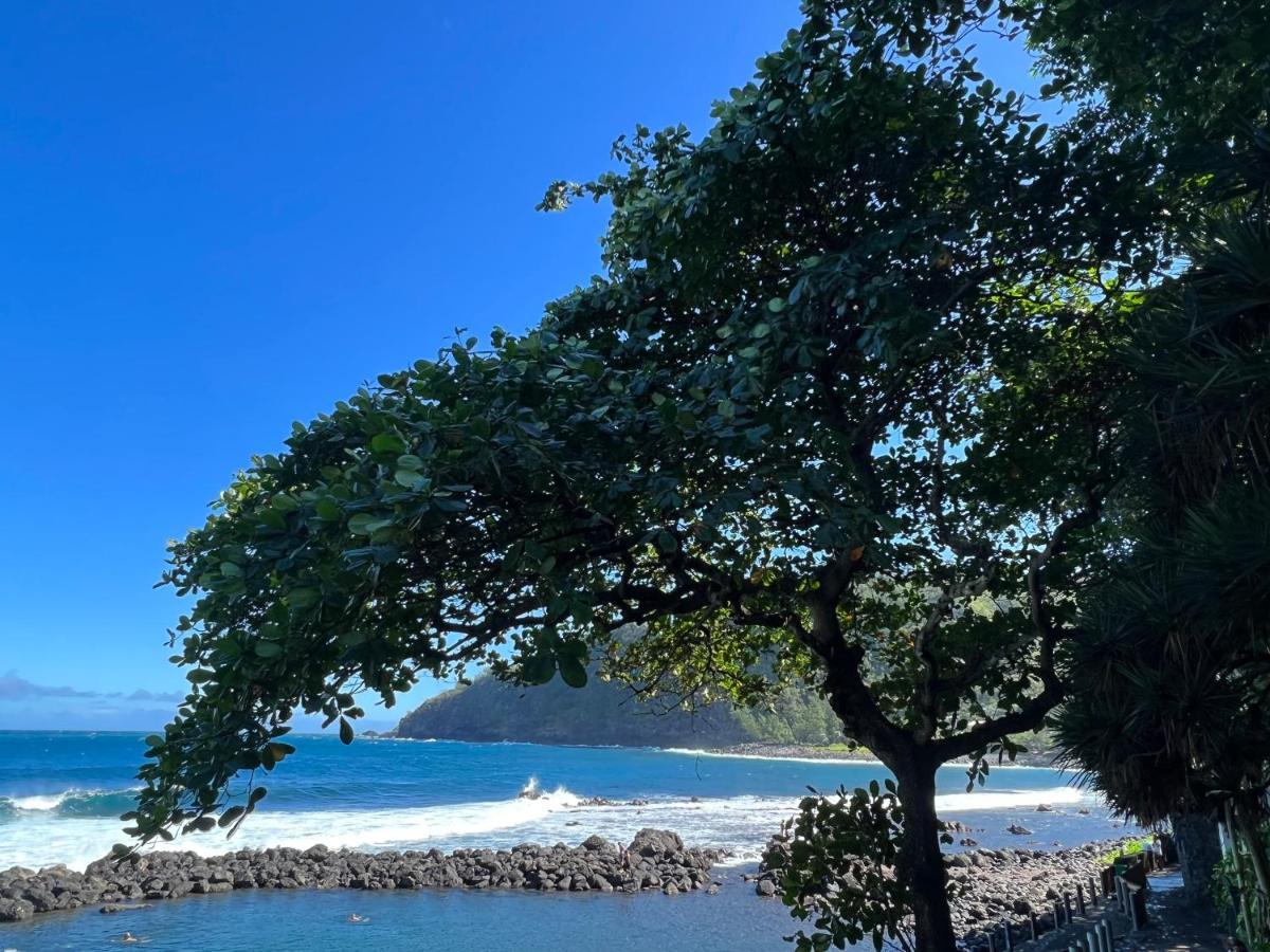 Le Liseron Créole - Entre Terre, Mer et Rivière Saint-Joseph Esterno foto